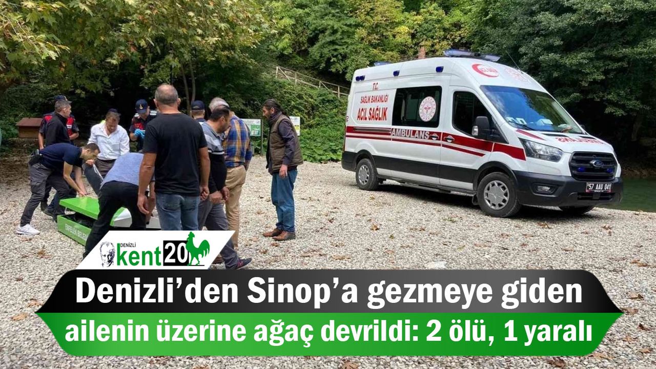 Denizli’den Sinop’a gezmeye giden ailenin üzerine ağaç devrildi: 2 ölü, 1 yaralı