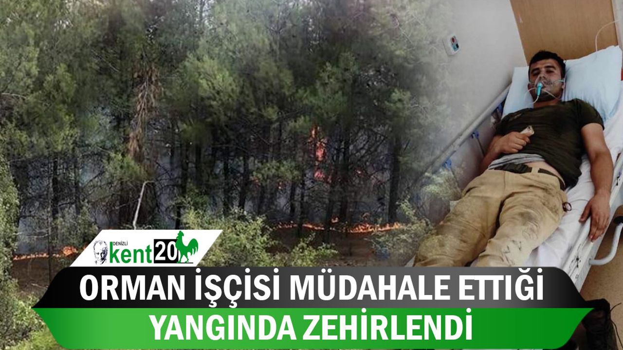 Orman işçisi müdahale ettiği yangında zehirlendi