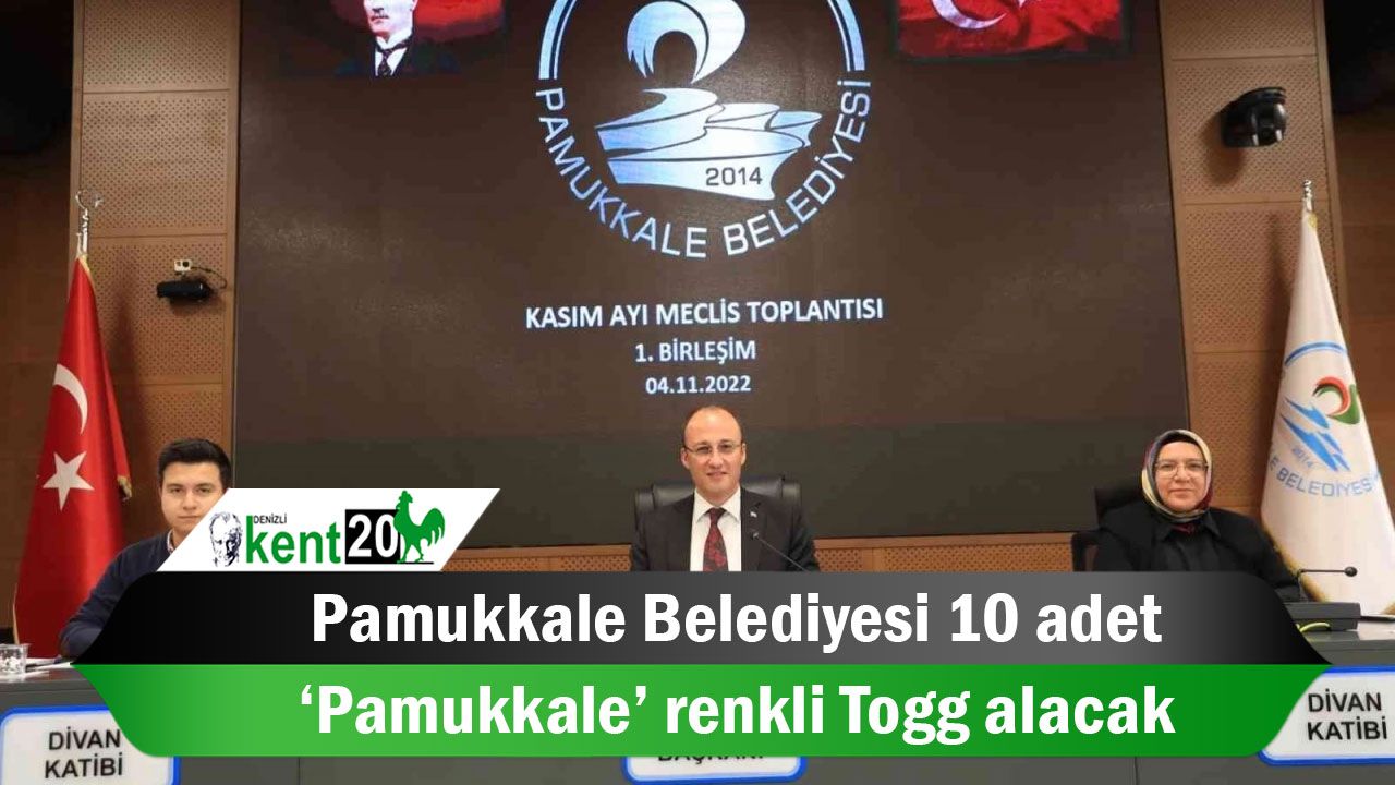 Pamukkale Belediyesi 10 adet ‘Pamukkale’ renkli Togg alacak