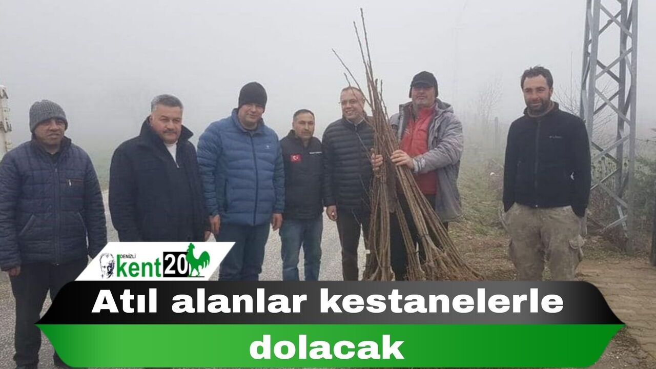 Atıl alanlar kestanelerle dolacak