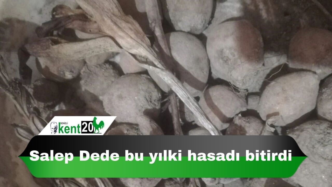 Salep Dede bu yılki hasadı bitirdi
