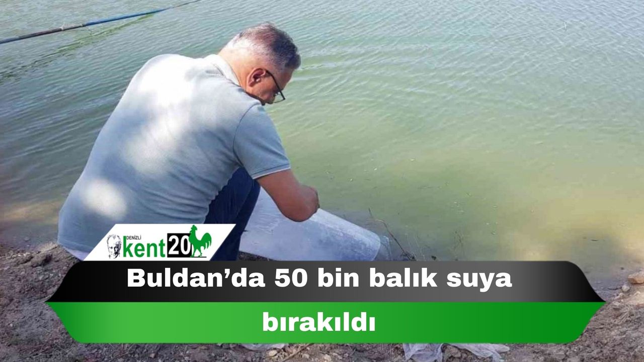 Buldan’da 50 bin balık suya bırakıldı