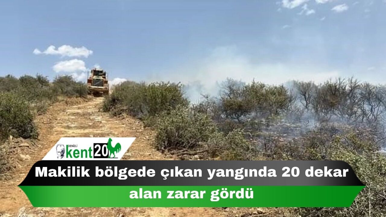Makilik bölgede çıkan yangında 20 dekar alan zarar gördü