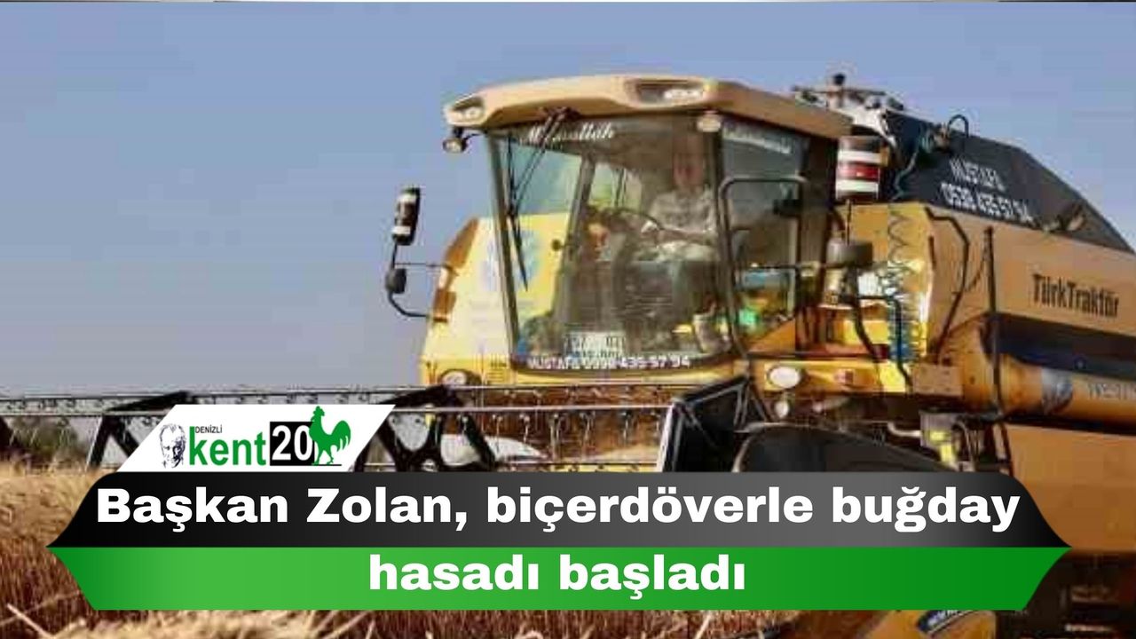 Başkan Zolan, biçerdöverle buğday hasadı başladı
