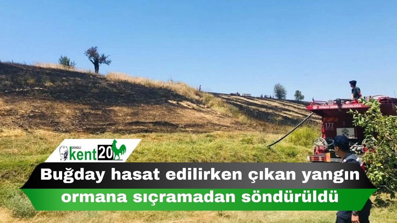 Buğday hasat edilirken çıkan yangın ormana sıçramadan söndürüldü