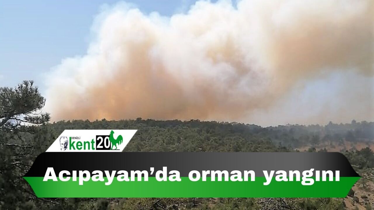Acıpayam’da orman yangını