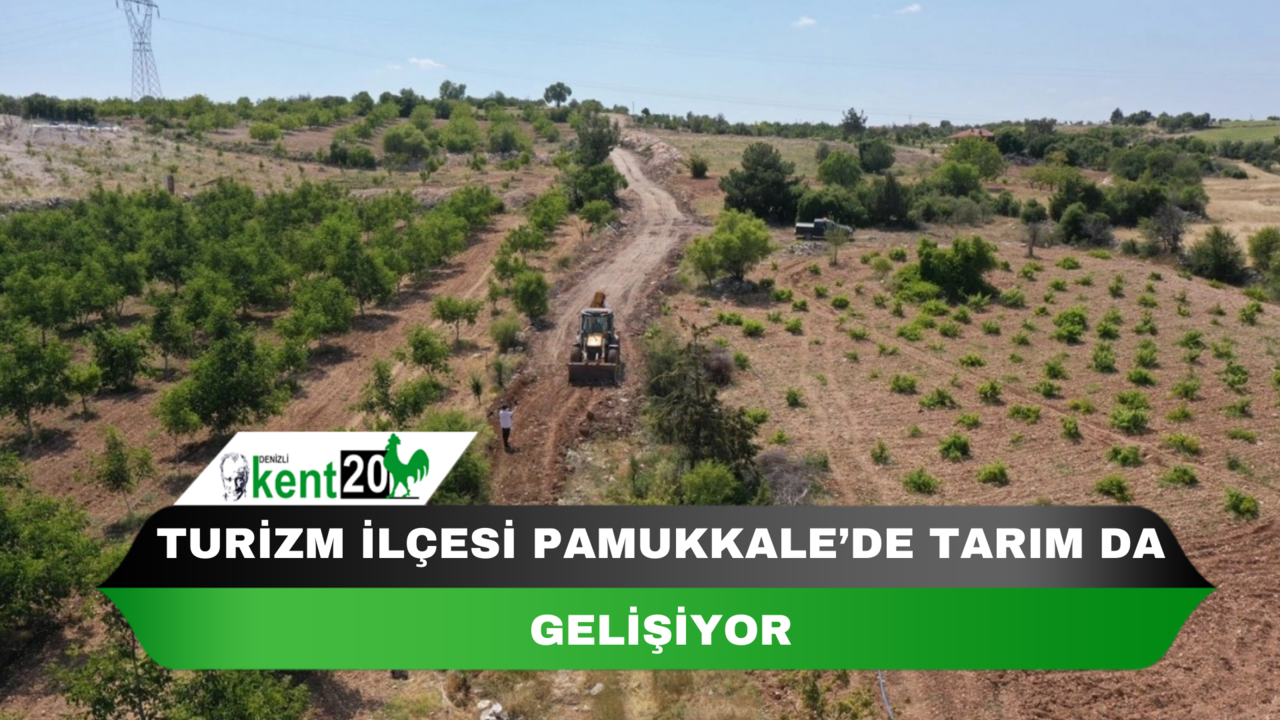 Turizm ilçesi Pamukkale’de tarım da gelişiyor