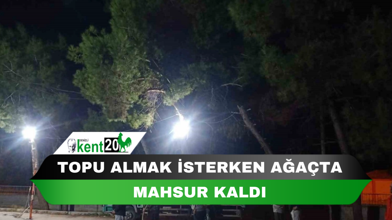 Topu almak isterken ağaçta mahsur kaldı