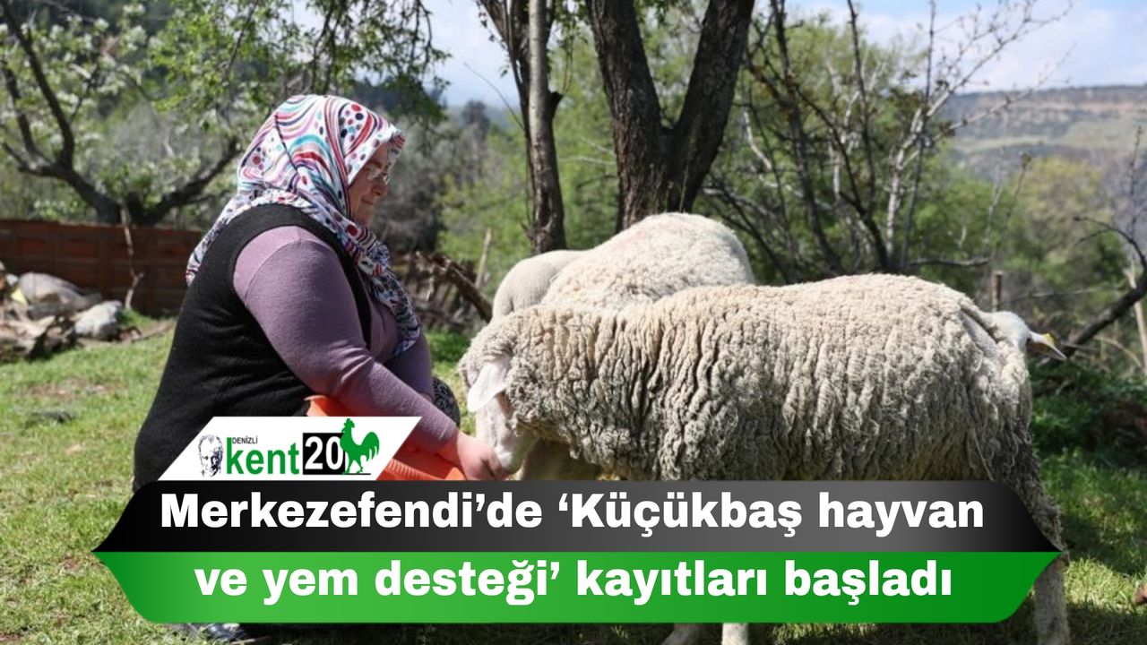 Merkezefendi’de ‘Küçükbaş hayvan ve yem desteği’ kayıtları başladı