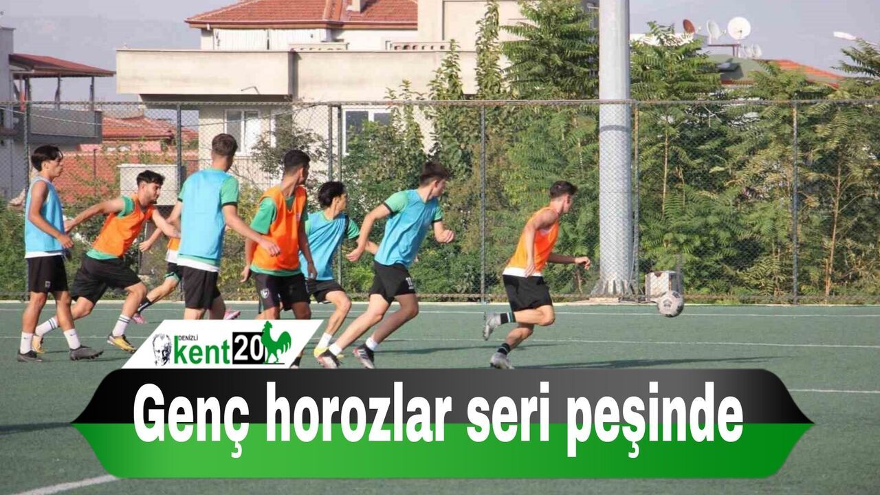Genç horozlar seri peşinde