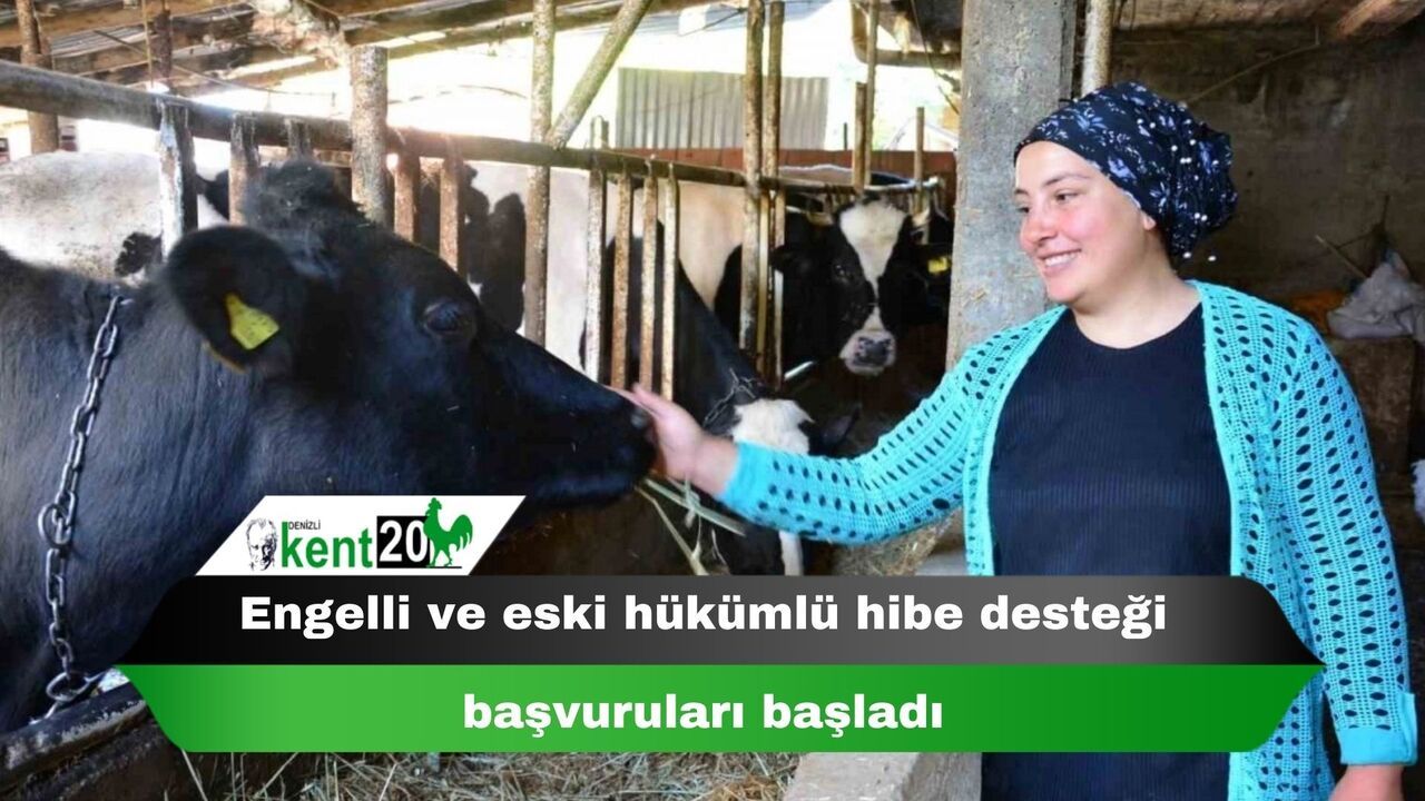 Engelli ve eski hükümlü hibe desteği başvuruları başladı