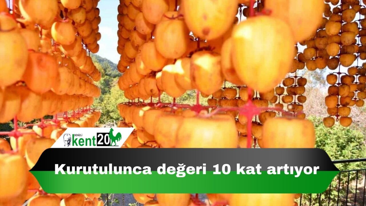 Kurutulunca değeri 10 kat artıyor