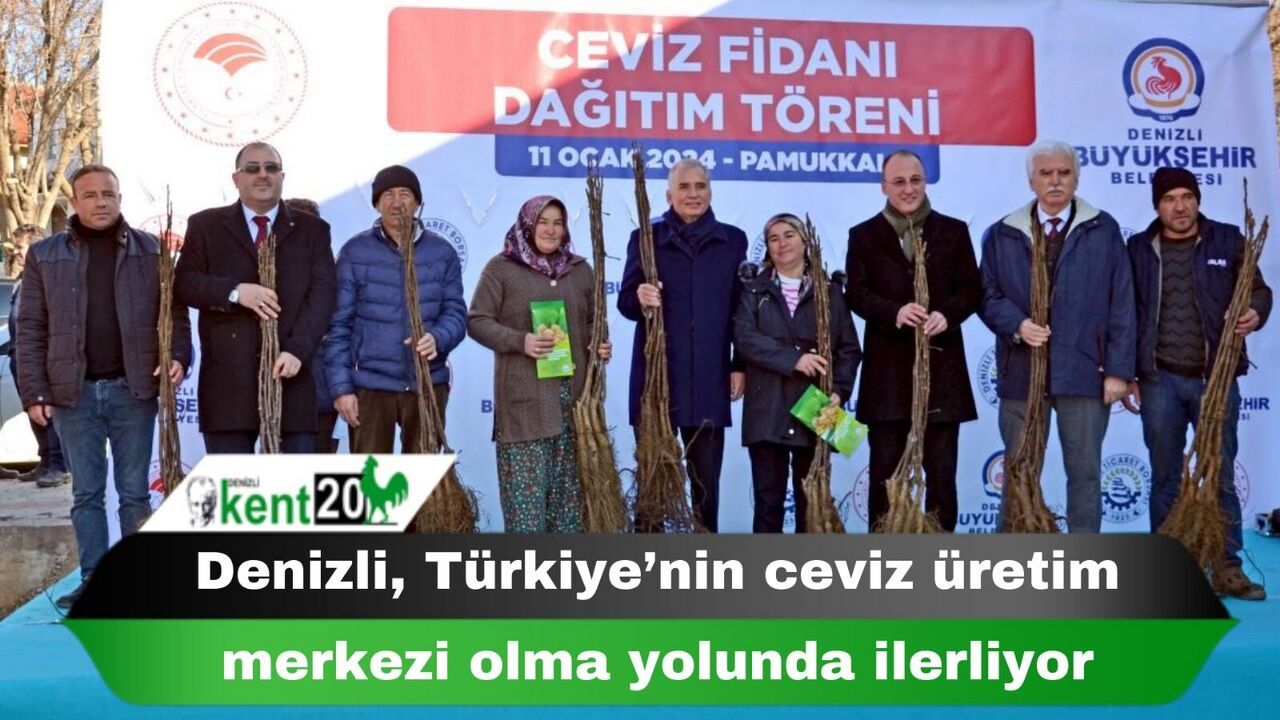 Denizli, Türkiye’nin ceviz üretim merkezi olma yolunda ilerliyor