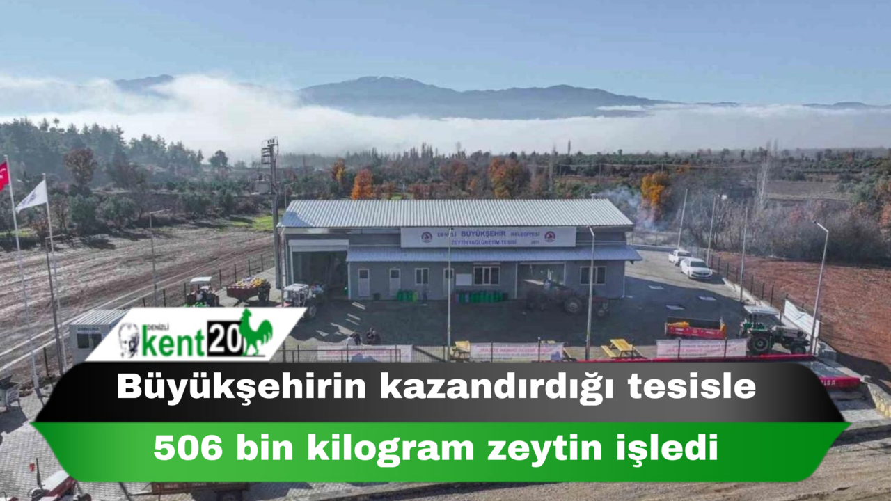 Büyükşehirin kazandırdığı tesisle 506 bin kilogram zeytin işledi