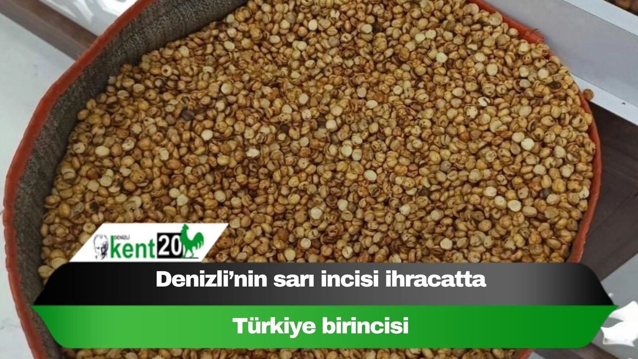 Denizli’nin sarı incisi ihracatta Türkiye birincisi