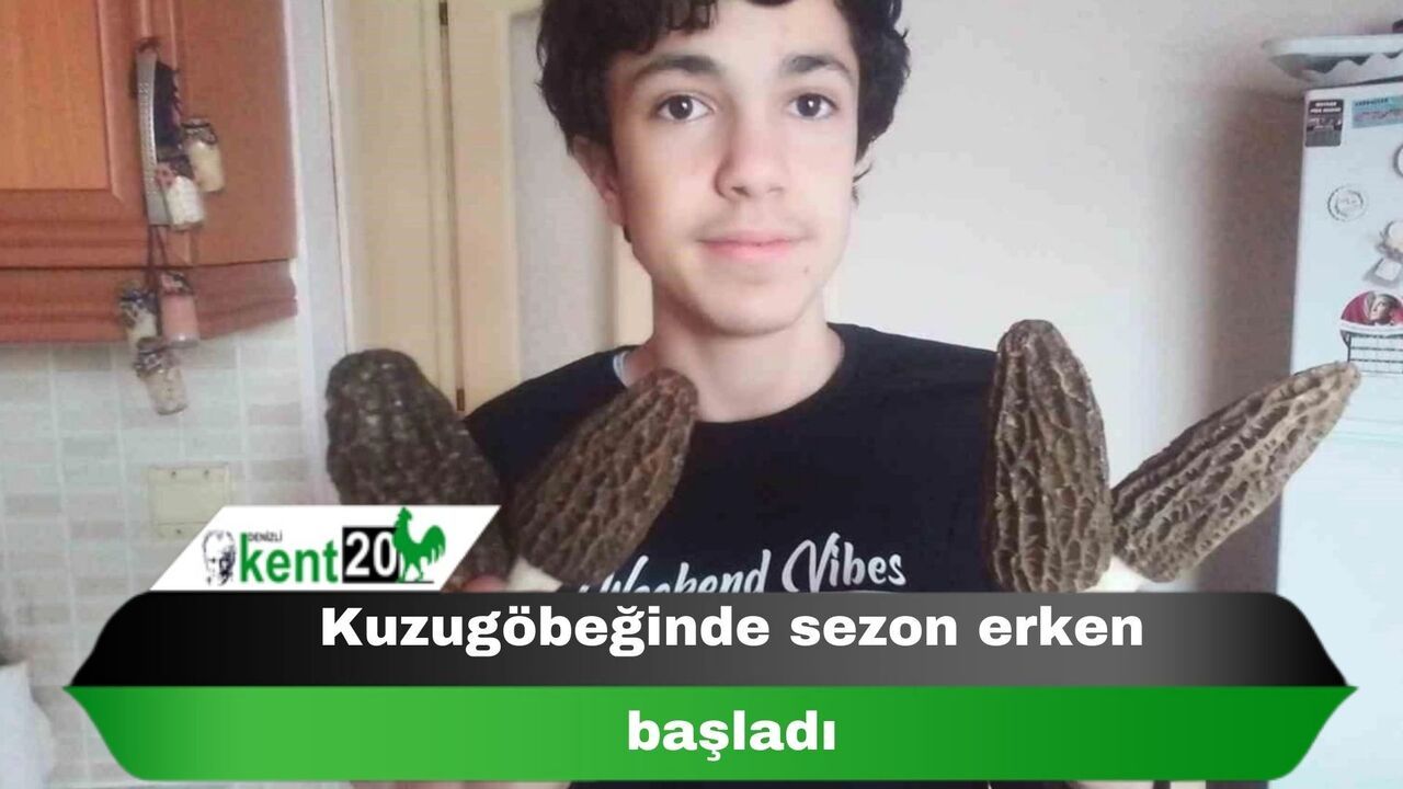 Kuzugöbeğinde sezon erken başladı