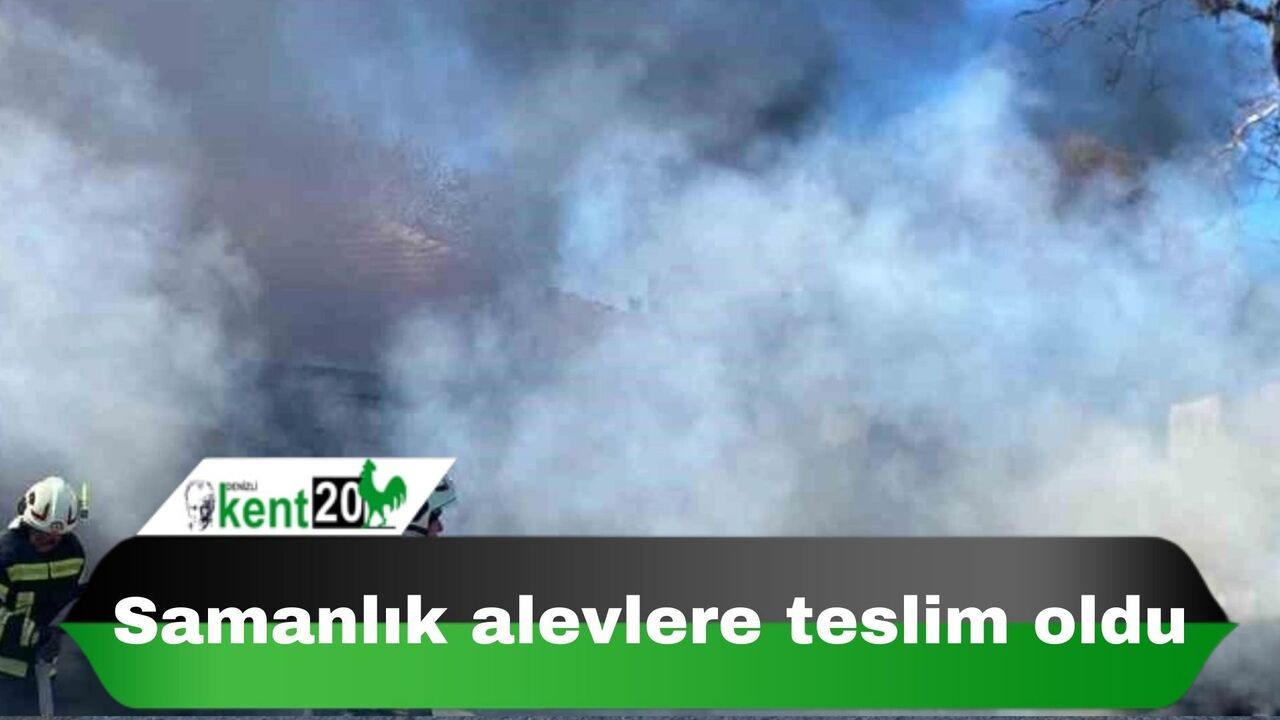 Samanlık alevlere teslim oldu