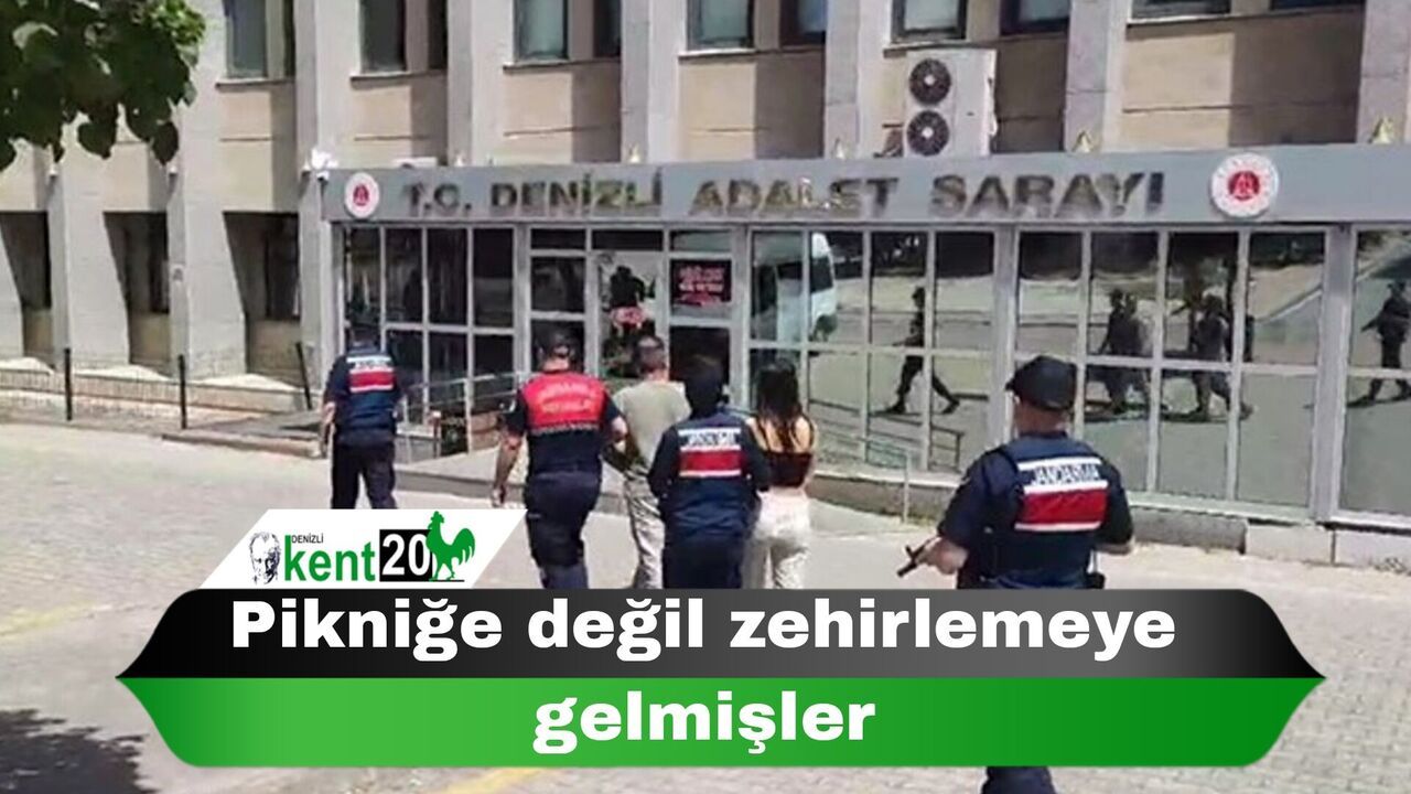 Pikniğe değil zehirlemeye gelmişler