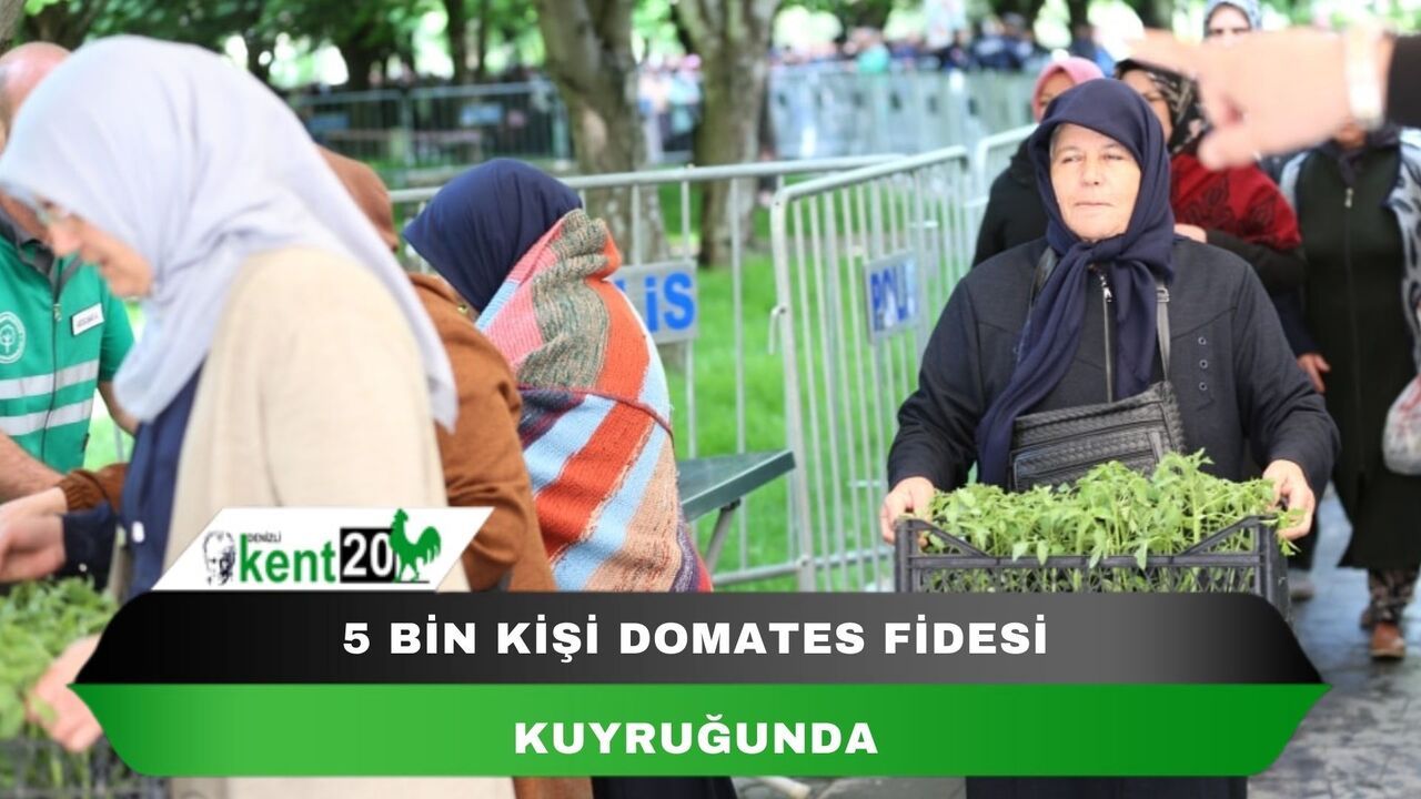 5 bin kişi domates fidesi kuyruğunda