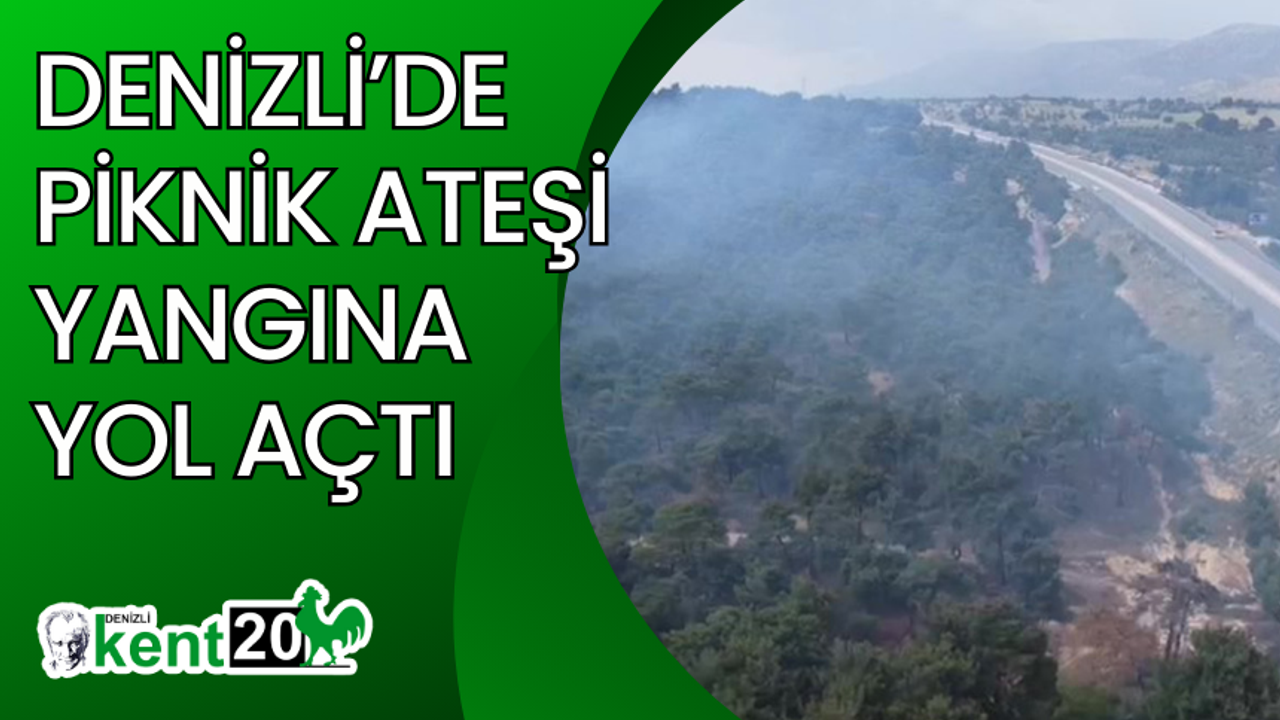 Denizli’de piknik ateşi yangına yol açtı