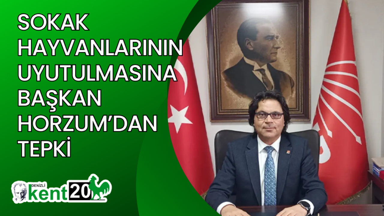Sokak hayvanlarının uyutulmasına Başkan Horzum’dan tepki