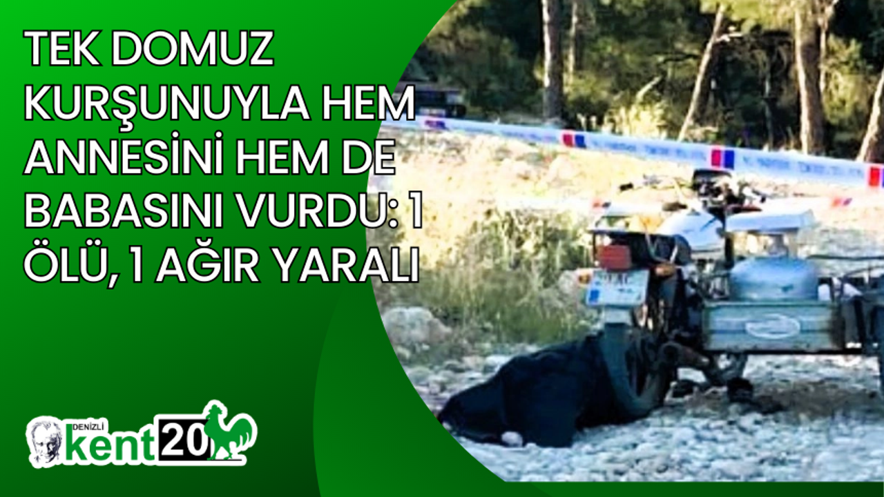Tek domuz kurşunuyla hem annesini hem de babasını vurdu: 1 ölü, 1 ağır yaralı