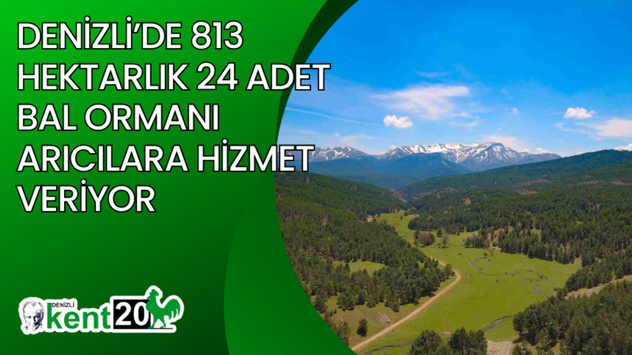 Denizli’de 813 hektarlık 24 adet bal ormanı arıcılara hizmet veriyor