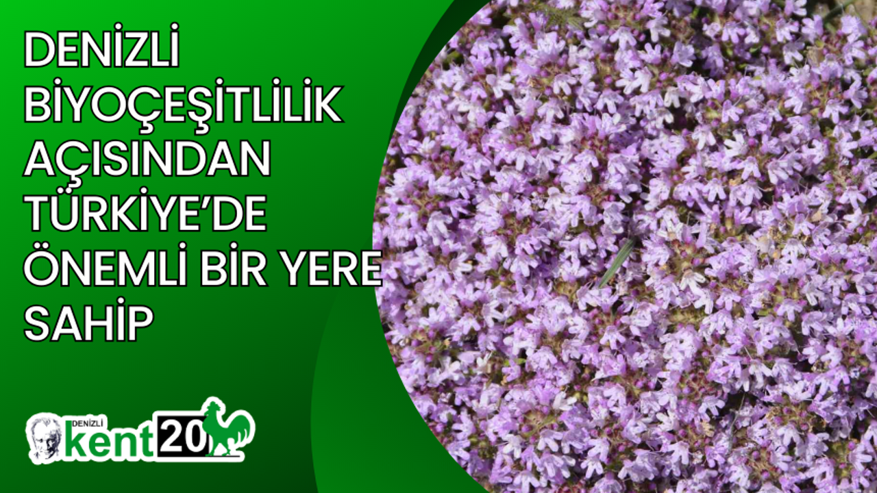 Denizli biyoçeşitlilik açısından Türkiye’de önemli bir yere sahip