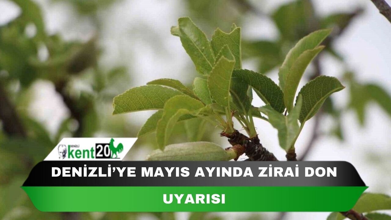 Denizli’ye Mayıs ayında zirai don uyarısı