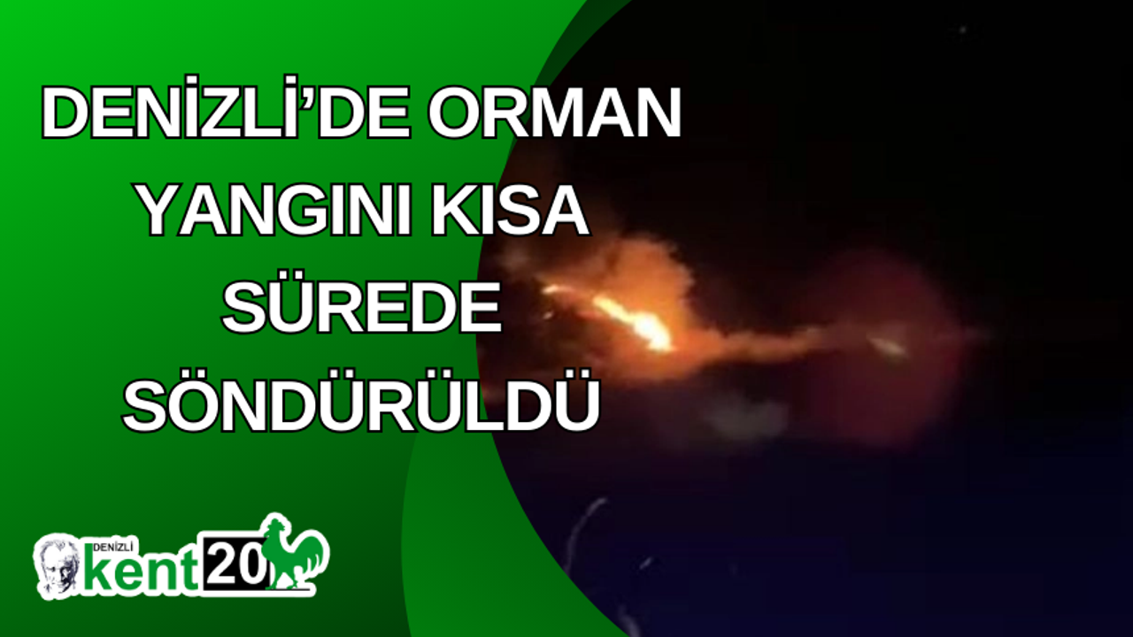 Denizli’de orman yangını kısa sürede söndürüldü