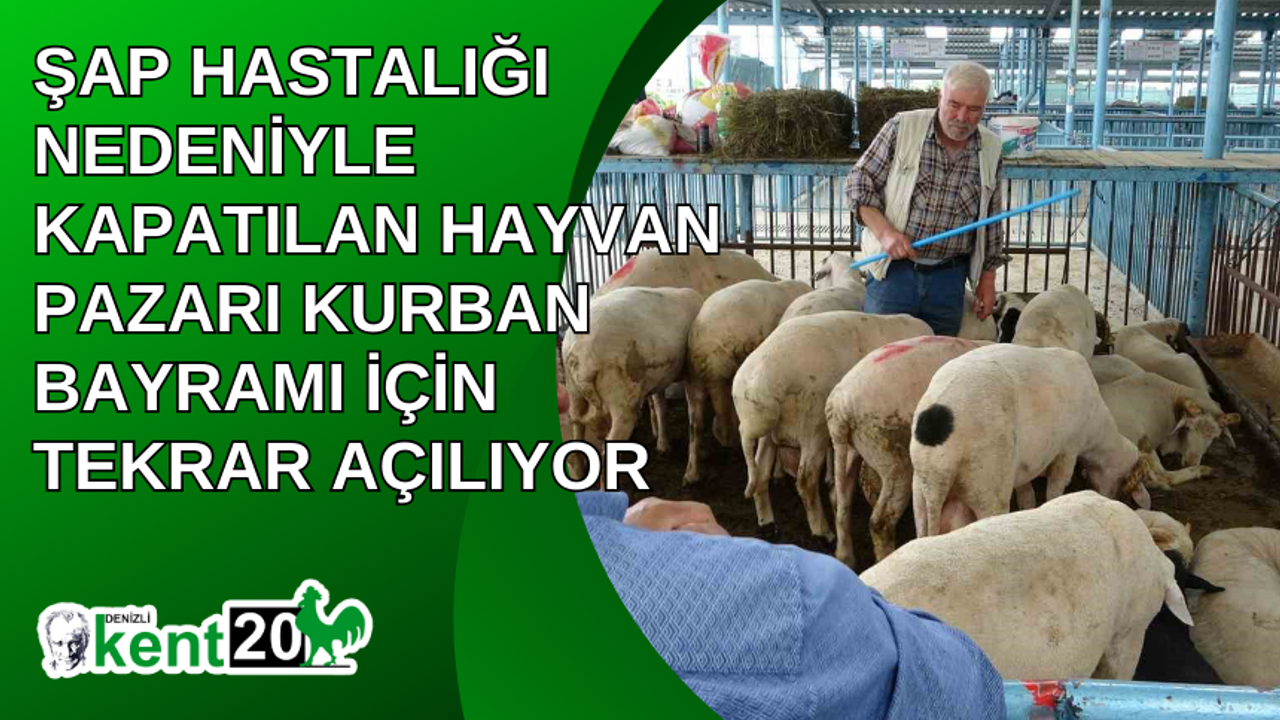 Şap hastalığı nedeniyle kapatılan hayvan pazarı Kurban Bayramı için tekrar açılıyor