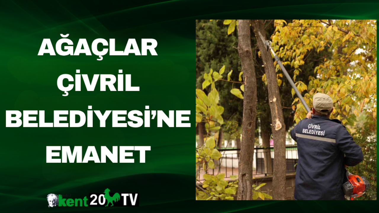 Ağaçlar Çivril Belediyesi’ne Emanet