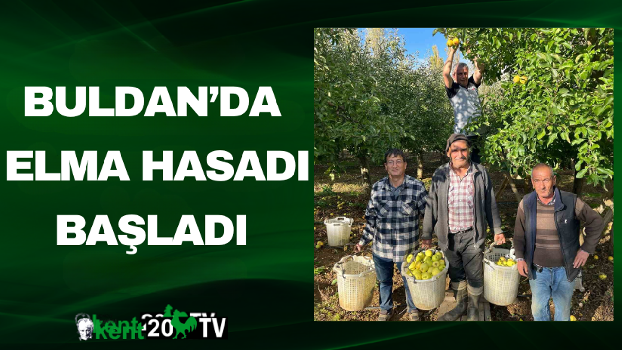Buldan’da Elma Hasadı Başladı