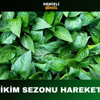 GENEL