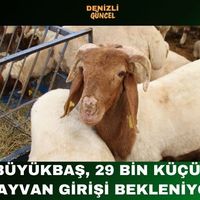 GENEL