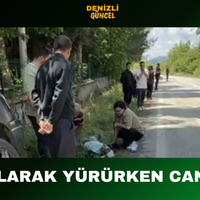 GENEL