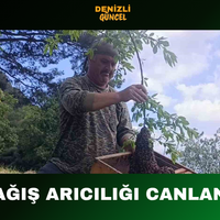 GENEL