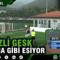 GENEL