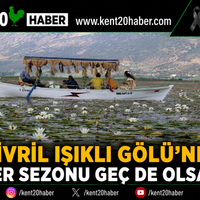 GENEL