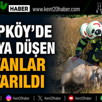 GENEL