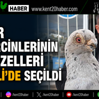 GENEL