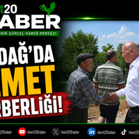 GENEL