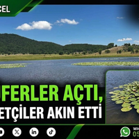 GENEL