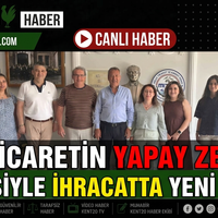 EKONOMİ