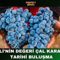 GENEL
