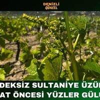 GENEL