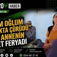 ASAYİŞ