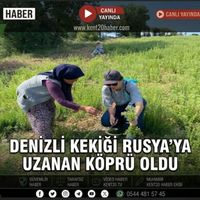 GENEL