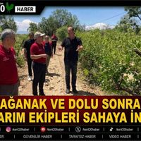 GENEL