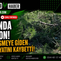 ASAYİŞ